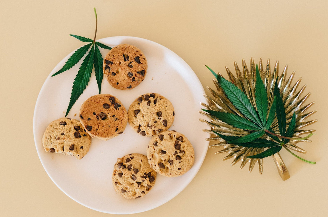 The Best Snacks To Eat While High - Two Hawk Extracts